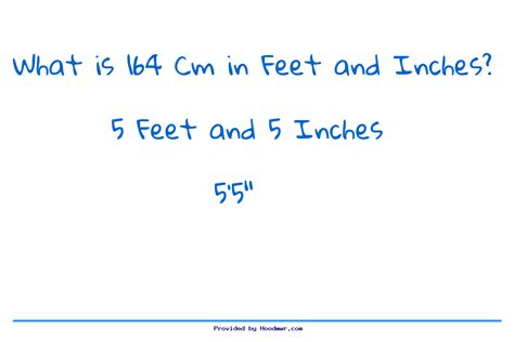 164cm in feet and inches|164.14 cms to feet.